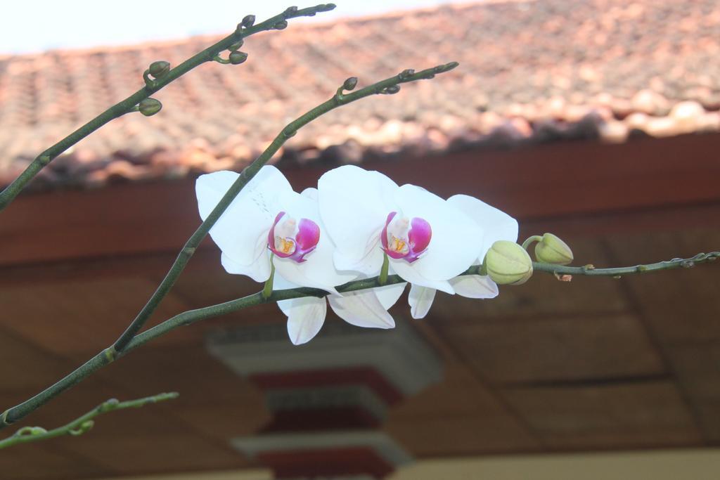 Pondok Hasan Nusa Dua  Exterior foto